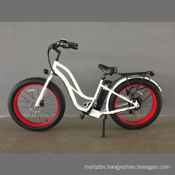 Fat Tire Electric Bike for Women 26inch/ 750W Ebike En15974 E-Bike